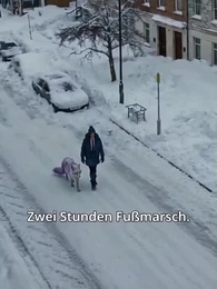 Apokalypse der magischen Tiere - Episode 17