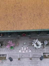 第1集 - 獸戲金枝折玉葉