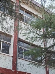 Episodio 60 - Fortuna para el hijo leal