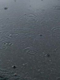 8Dari Buangan ke Ratu Mafia - Episode 10