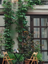 الحلقة 20 - [مدبلج]بطل بلا عروس