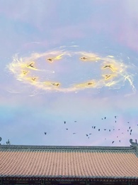 獸戲金枝折玉葉 - Episode 5