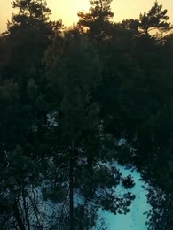 Episodio 65 - Rey del Monte