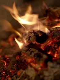 Episode 5 - Village Drama, No Filters