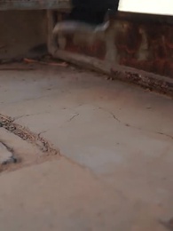 Tập 27 - Chân Tình   Giữa Đời Thường Nhật