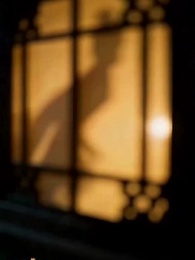 Episode 1 - Ghosted the Lycan King