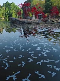 君と越える春の山 - Episode 14