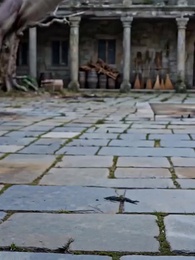 When The Archmage Awakens - Episode 4