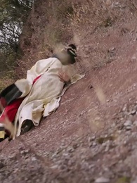 Episode 48 - [Dubbed]Sleep with My Brother-in-Law