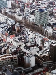 Серия 10 - Обмен невестами: Я разбудила мафиози