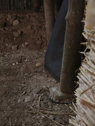 Episode 32 - [Dubbed]Sleep with My Brother-in-Law