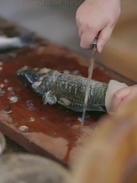 Episodio 1 - [Doblado]La Pescadora y el Príncipe Perdido