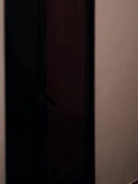  My Housekeeper Stole My Billion-Dollar Empire - Episode 9