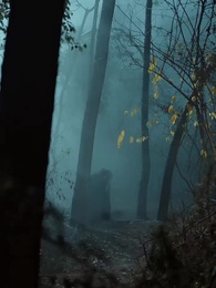 Episode 5 - Poisoned Throne