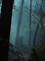 Tập 5 - Tỉnh Dậy Đã Bị Thái Tử Cướp Vào Đông Cung 