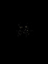 第12集 - LoveLurking戀愛潛伏