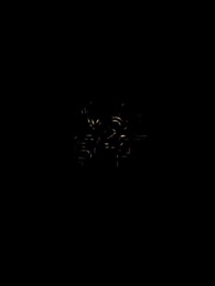 第16集 - LoveLurking戀愛潛伏