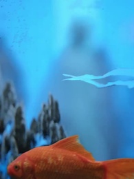 وجود التنين   - Episode 2