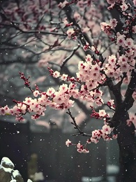 Lamb & Heather - Episode 18