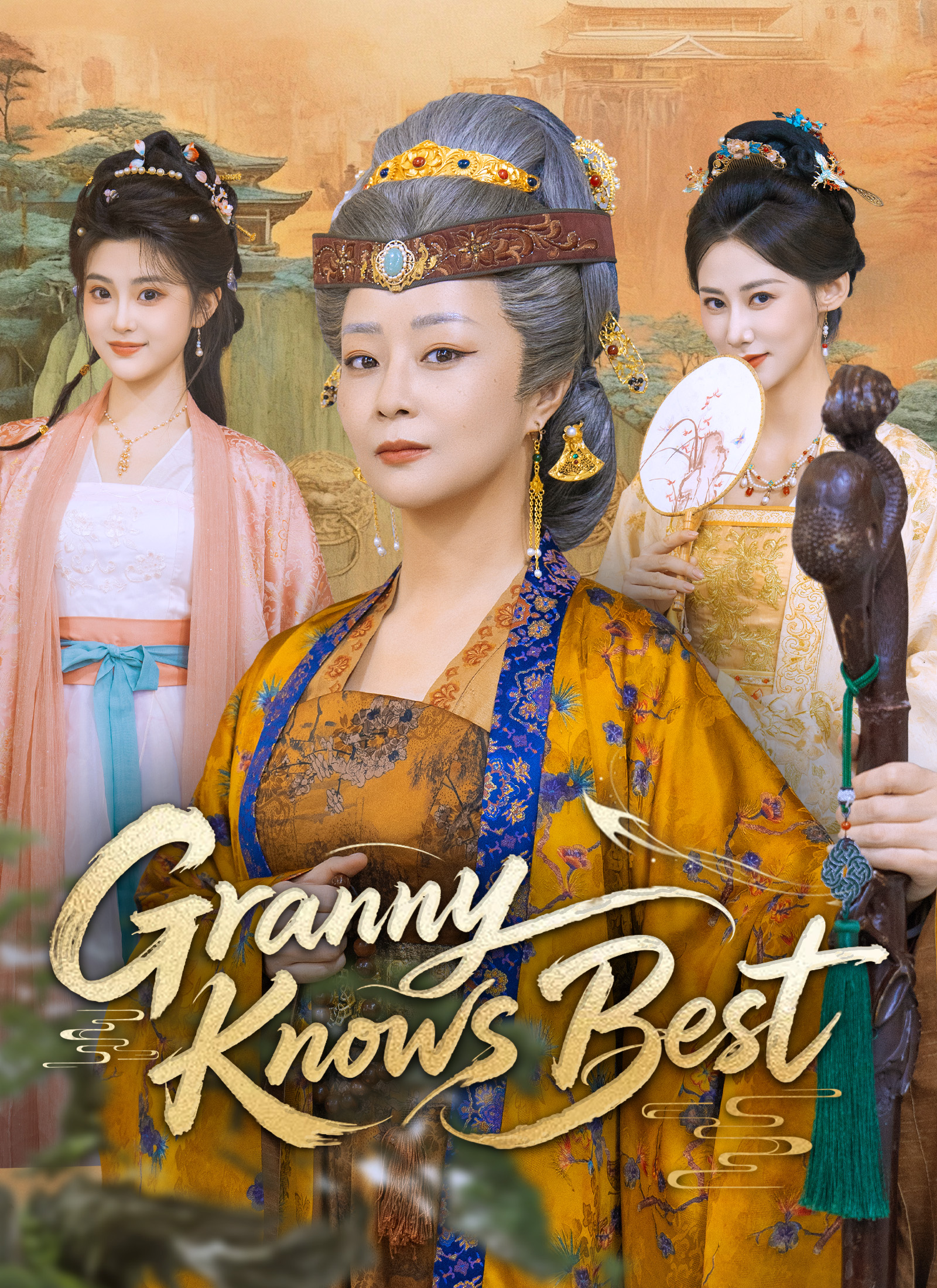 Drama China Granny Knows Best sub Indo - poster