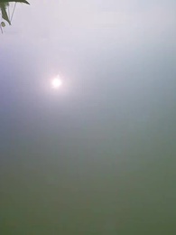 الحلقة 64 - وجود التنين  