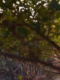 Cien Vidas, Ni un Don Nadie - Episode 64