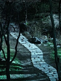 Penguasa Tanpa Lawan - Episode 29