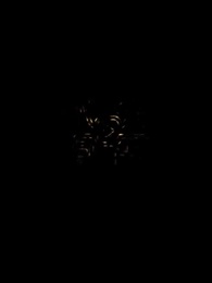 第10集 - LoveLurking戀愛潛伏