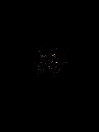 第17集 - LoveLurking戀愛潛伏