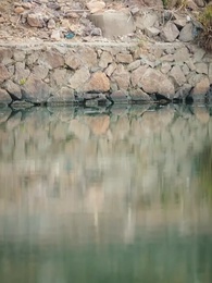 Secrets of Cloudvale - Episode 74