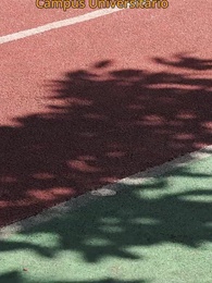 Episodio 7 - Memoria de un Amor Cautivo