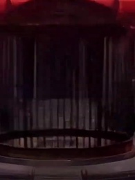 Episodio 11 - [Doblado]Su Alteza, Sistema Tycoon a su servicio