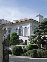 Tập 49 - Chọc Nhầm Nữ Thần Y