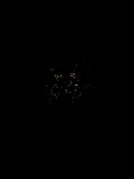 第21集 - LoveLurking戀愛潛伏