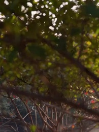 Episode 64 - Kneel, I'm Your Ancestor