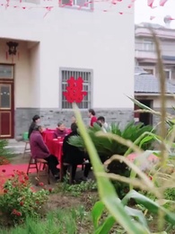 Chú Chim Sẻ Bé Nhỏ - Episode 45