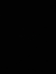 第10集 - 珠星紀