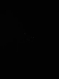 第11集 - 春日濃情