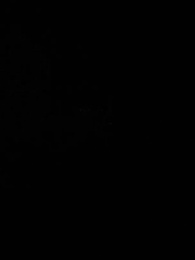 第12集 - 珠星紀