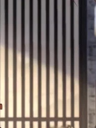 Episodio 50 - [Doblado]Llegué Como Mortal, Reiné Como Leyenda