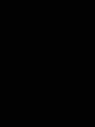 第15集 - 珠星紀