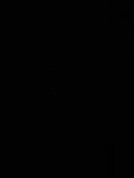 第20集 - 珠星紀