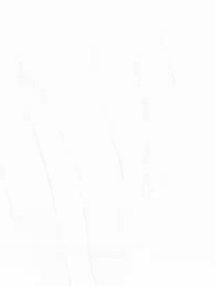 第28集 - 胡說，我院子裏絕對沒有神器