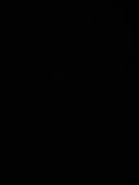 第19集 - 珠星紀