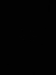 珠星紀 - Episode 2