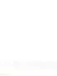 Episodio 7 - Me Tomaron por Ancestro Supremo