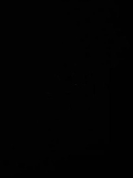 第13集 - 珠星紀