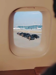 Tập 9 - Chú Chim Sẻ Bé Nhỏ