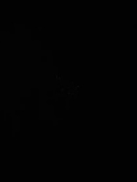 第10集 - 春日濃情