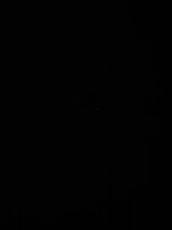 第14集 - 珠星紀